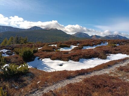 Fotografie z Harald Bäck na trase