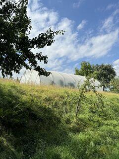 Fotó a Holly honlapról a túra során