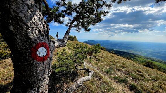 Zdjęcie z Danijel Sorola wzdłuż trasy
