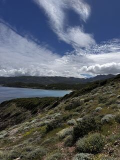 Foto de noddy suter a lo largo del recorrido