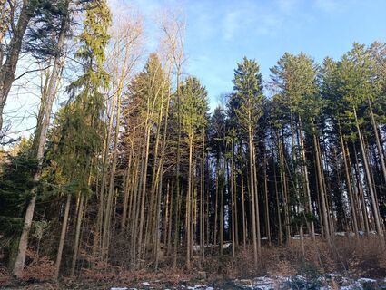 Foto von Danielastrasser entlang der Tour