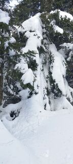 Photo de veronika bozic le long du parcours