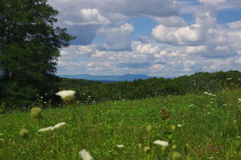 Blick ins oststeirische Hügelland