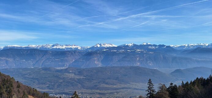 Fotografia z Paul Gruber na trase