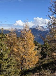 Foto fra Michaela Köhler underveis på turen