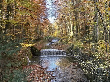 Fotografia z Heinz Sperl na trase
