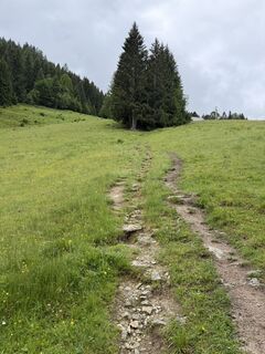 Fotografija s spletne strani Marielle van Gent-Bos na poti
