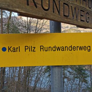 Kort