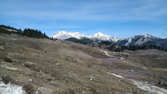 Fotografie z Davor Puklin na trase