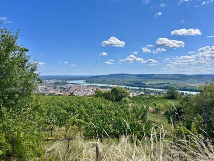 Fotografia z Christian Bozsoki na trase