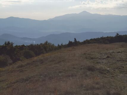 Fotografia z Cvetka Salamon na trase