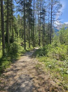 Photo de Dietmar Huber 1 le long du parcours