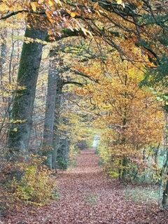 Fotografie z SvenScherer7 na trase