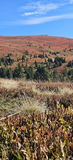 Fotografia z Lpetra na trase