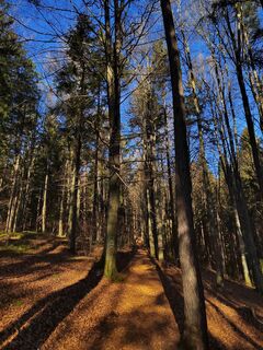 Photo from ReginaSt along the tour