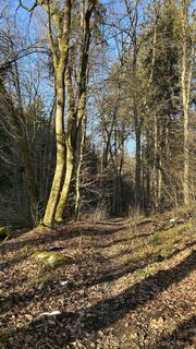 Photo de Matthias G74 le long du parcours