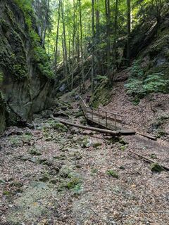 Zdjęcie z Martina Braunstein-Lamatsch wzdłuż trasy