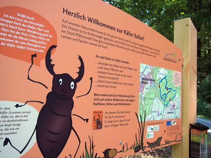 Startpunkt Käfer-Safari