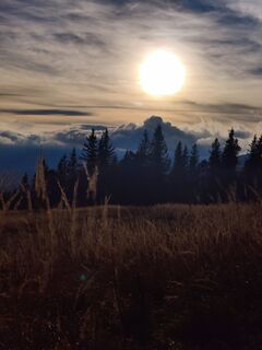 Fotografie de la Martin Londgin de-a lungul turului