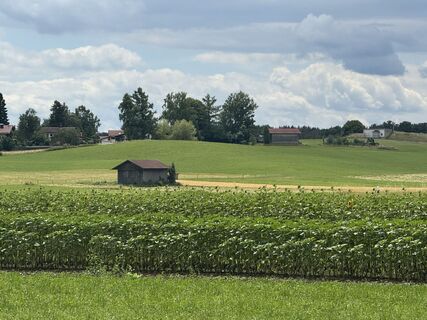 Photo de Denise Miller le long du parcours