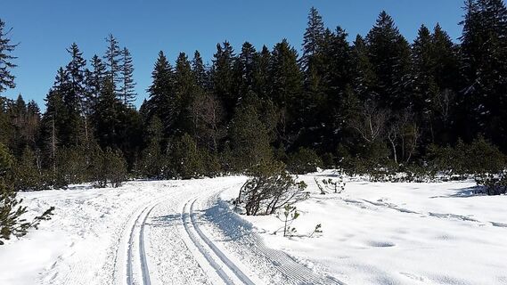 Langlaufloipe Bödele