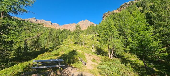 Fotografija s spletne strani Laura Gasparotto na poti