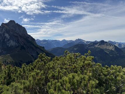 Photo de Dr. Katarzyna Milkowska-Leyck le long du parcours