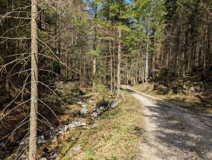Foto von Hiking Hermit entlang der Tour