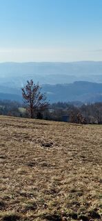 Photo de Roman Kramer le long du parcours