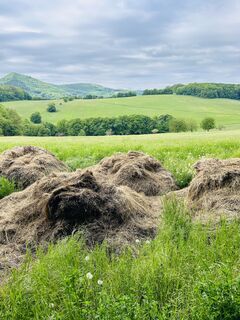 Foto von Kellner Heidi entlang der Tour
