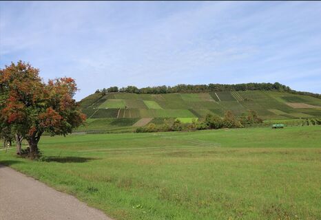 Brackenheim Rundtour