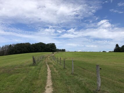 Weg hinter Wefelsen