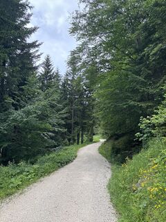 Photo de Heinz Sperl le long du parcours