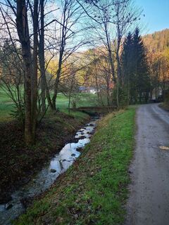 Foto von 3d63 ru^^n3r entlang der Tour