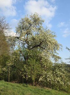 Fotografie z Ich Selbst na trase