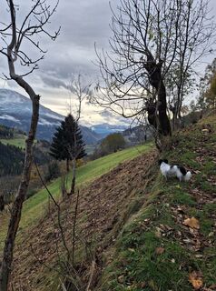Foto von Dagmar Hofer entlang der Tour