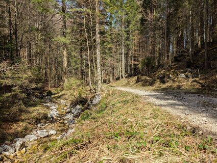 Foto von Hiking Hermit entlang der Tour