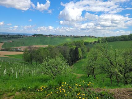 Foto von Juliane Jarke entlang der Tour