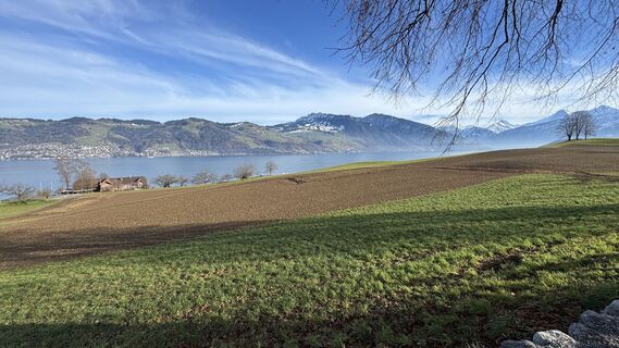 Fotografija s spletne strani peter_oe na poti
