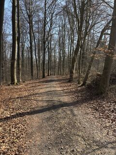 Photo de eifel05 le long du parcours