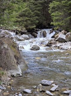 Photo de Timon Bertignoll le long du parcours