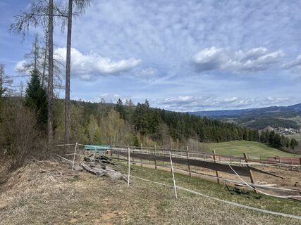 Fotografia z Monika Weiss na trase