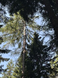 Foto von Kreva89 entlang der Tour