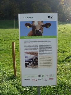 Infotafel