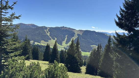 Foto von Simone Ratasich entlang der Tour