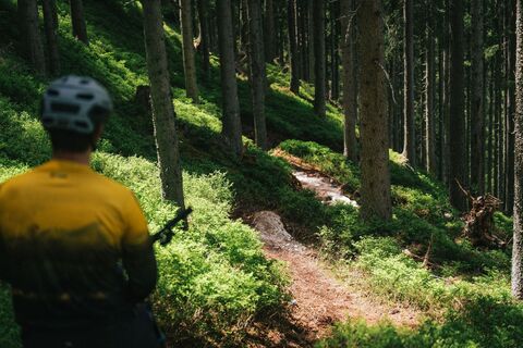 Mountainbiker am Hochalm Enduro Trail