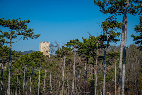 Photo de Ekhard Oberleitner le long du parcours