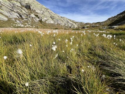 Fotó a Jeannette Etterli honlapról a túra során