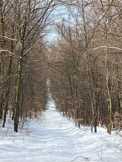 Zdjęcie z Julika Jármer wzdłuż trasy