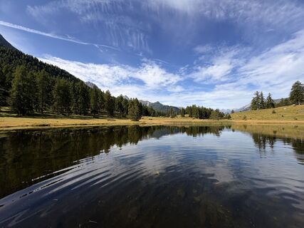 Fotografija s spletne strani Melle Koletzki na poti